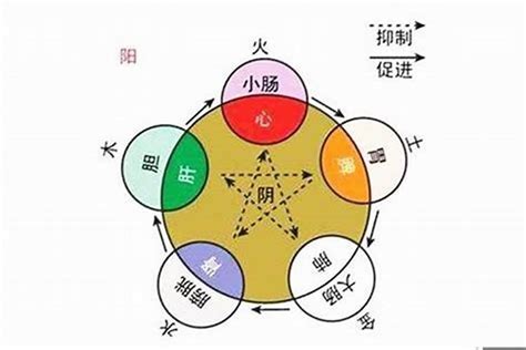 如何看五行屬性|如何知道一個人的五行屬什么